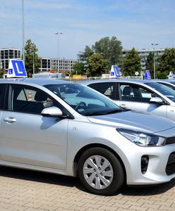 Wrocław. "Elka" zatrzymana do kontroli. Instruktor pod wpływem alkoholu