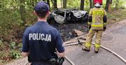 Policja szuka świadków. Makabryczne odkrycie po wypadku