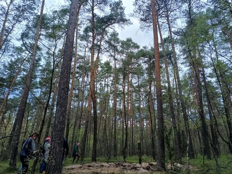 Miejsce upadku "powietrznego obiektu wojskowego"