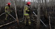 Kto podpalił Biebrzański Park Narodowy? Sprawcy szukają władze parku, policja i prokuratura