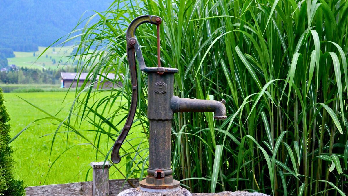 Studia na działce może być nie lada kłopotem