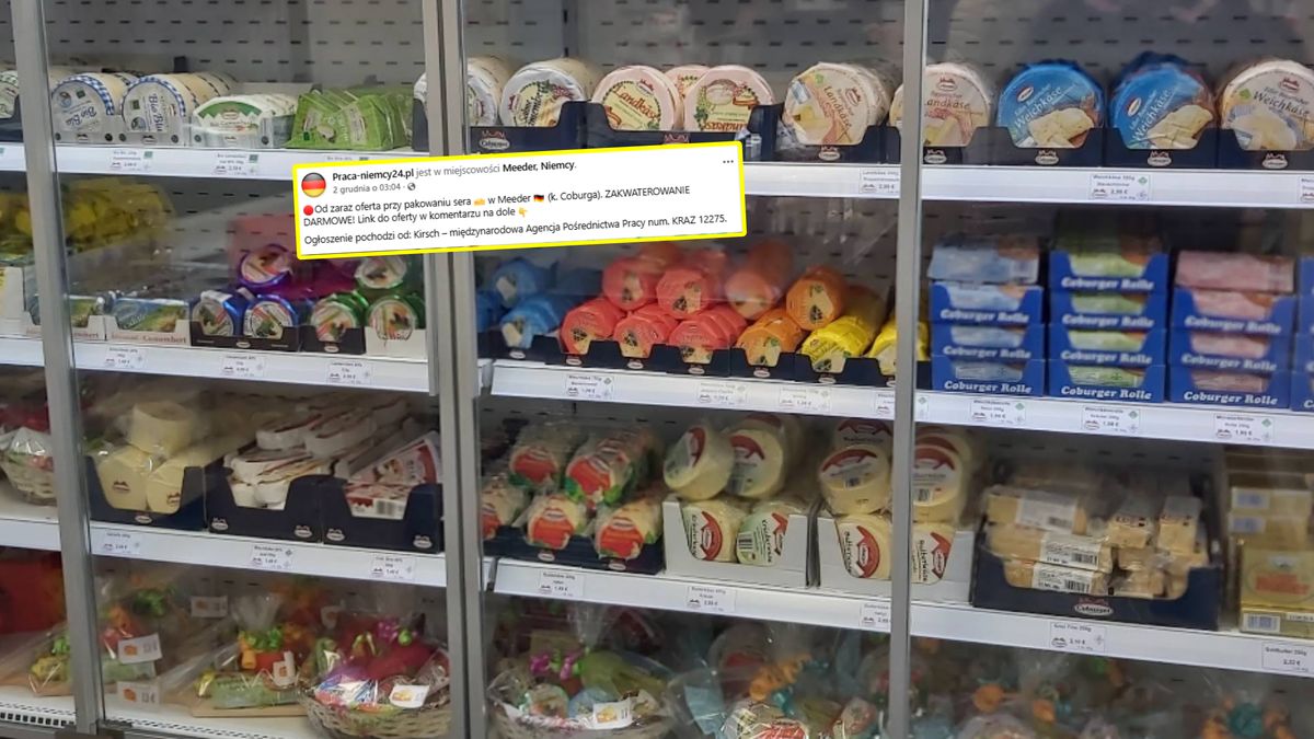 Niemcy szukają do pracy. Polacy reagują.