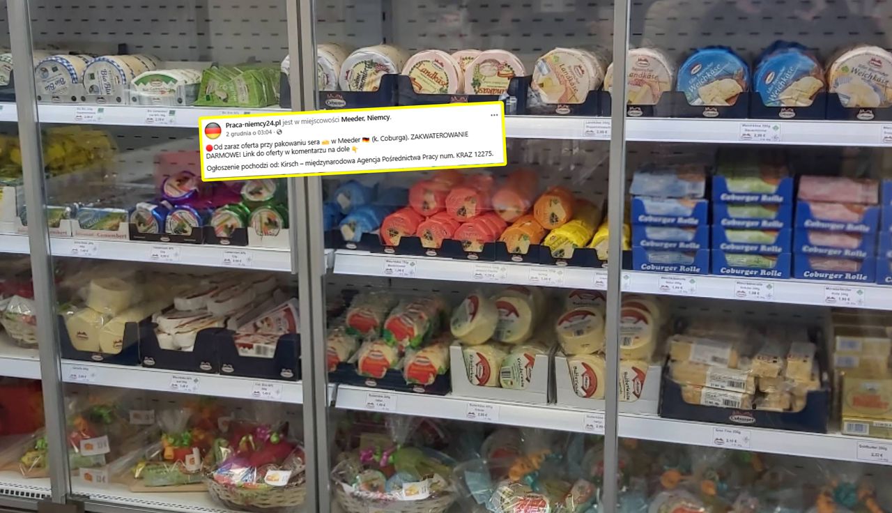 Niemcy dają mieszkanie. I jeszcze ta stawka. Polacy się rzucili