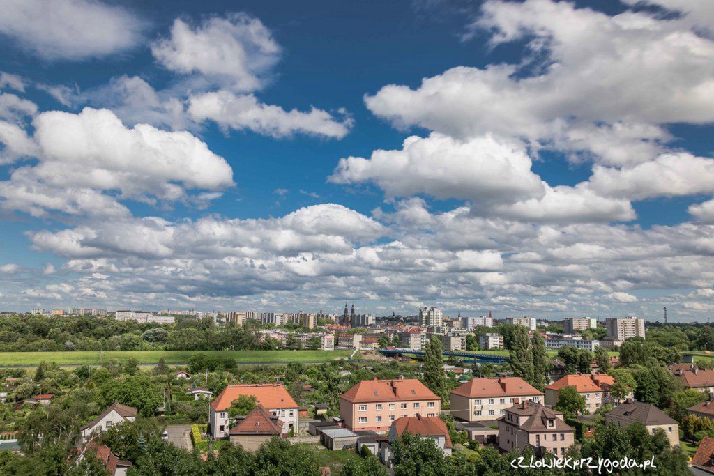 Paweł Szpala fotografował przez rok widok ze swojego okna. Inspiracja na zdjęcia 4 pór roku bez wychodzenia z domu 8