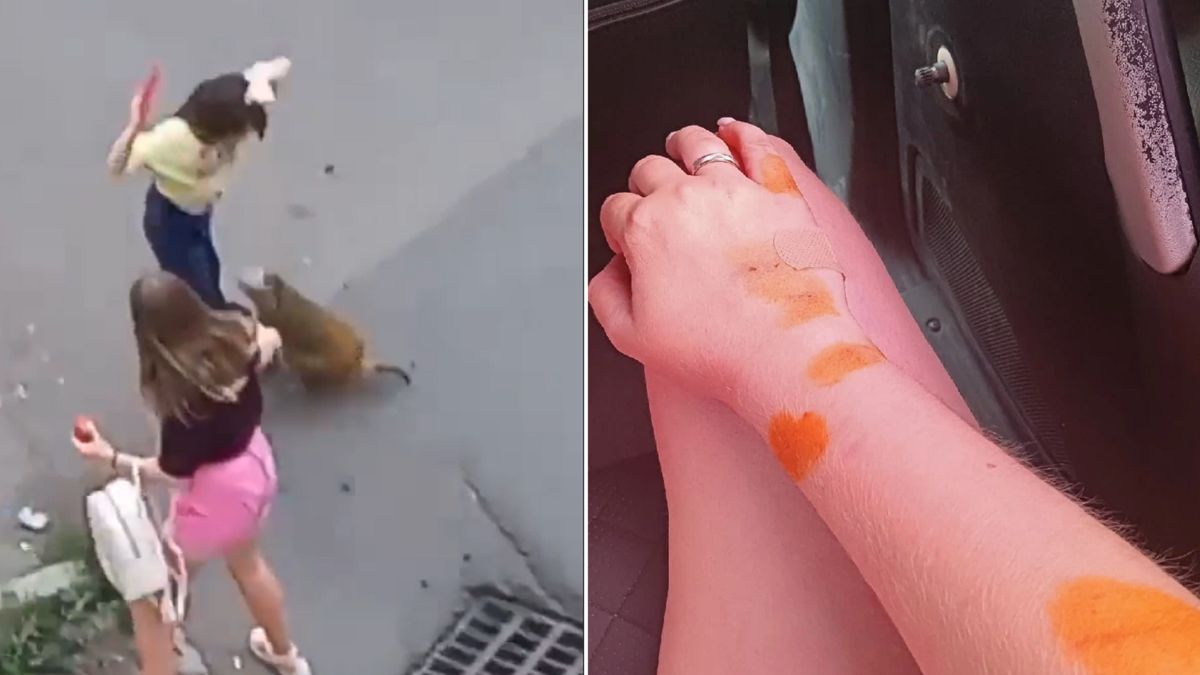 Małpa zaatakowała mieszkańców osiedla w Magnitogorsku 