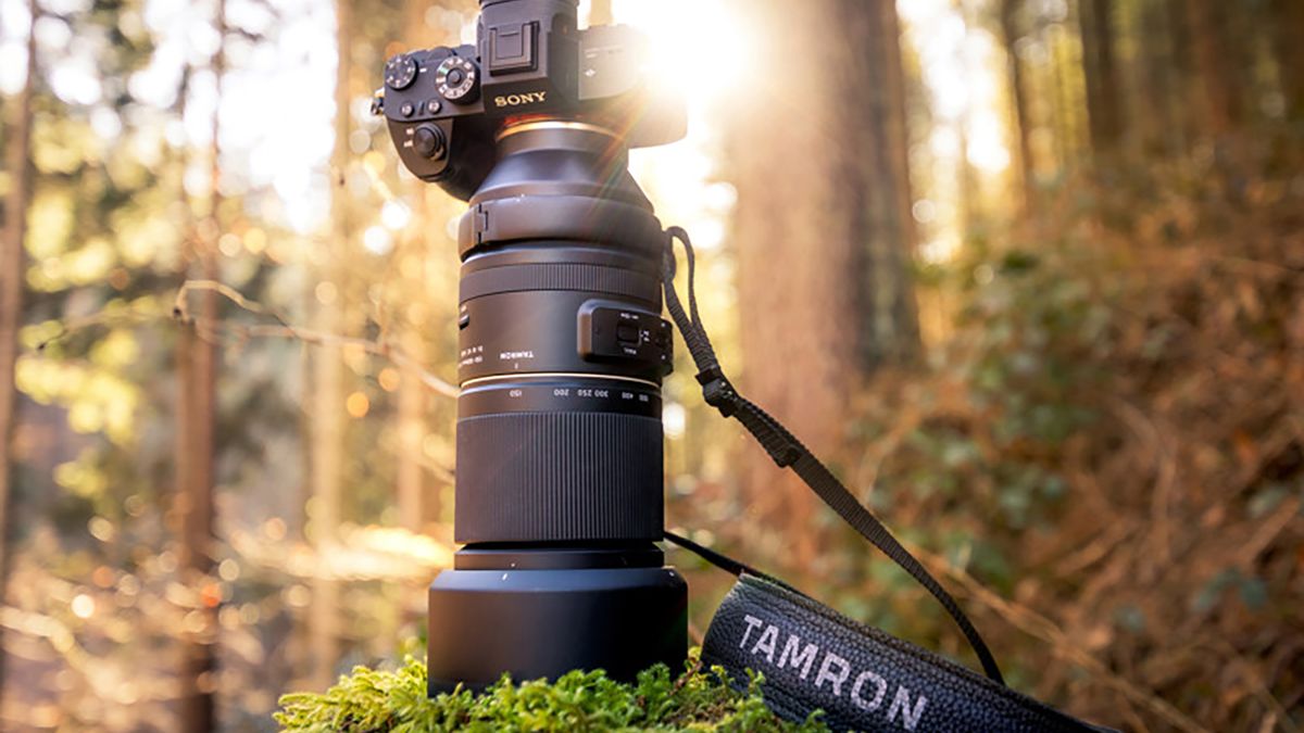 Tamron 150-500 mm f/5-6.7 - interesujący obiektyw dla fotografów dzikiej przyrody 1