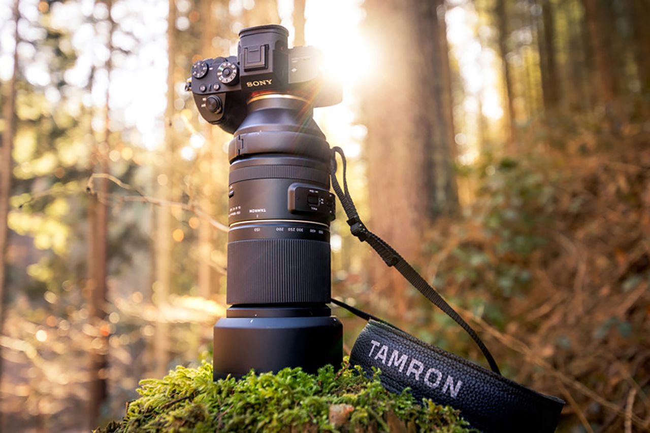 Tamron 150-500 mm f/5-6.7 - interesujący obiektyw dla fotografów dzikiej przyrody