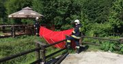 Śmierć 50-letniego mężczyzny. Ciało znaleziono w rzece Kamienna w Bałtowie