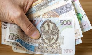 Ci przedsiębiorcy zapłacą większy podatek. Ministerstwo szykuje zmiany