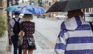 Deszcz, mgły i chłód. Taka aura czeka Polskę 11 listopada