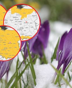 Atak zimy czy powrót do normalności? Alerty IMGW w całym kraju