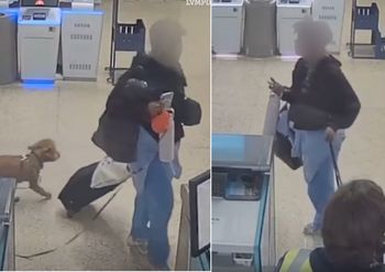 Skandal w USA. Kobieta zostawiła psa na lotnisku