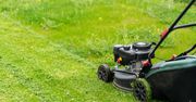 Kiedy kosić trawnik po zimie? Wielu robi ten błąd