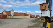 Pozezdrze: Bioasekuracja hodowli indyków. Kluczowe narzędzie