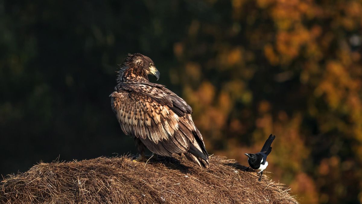 Sylwetki naszych czytelników: Łukasz Sokół 1