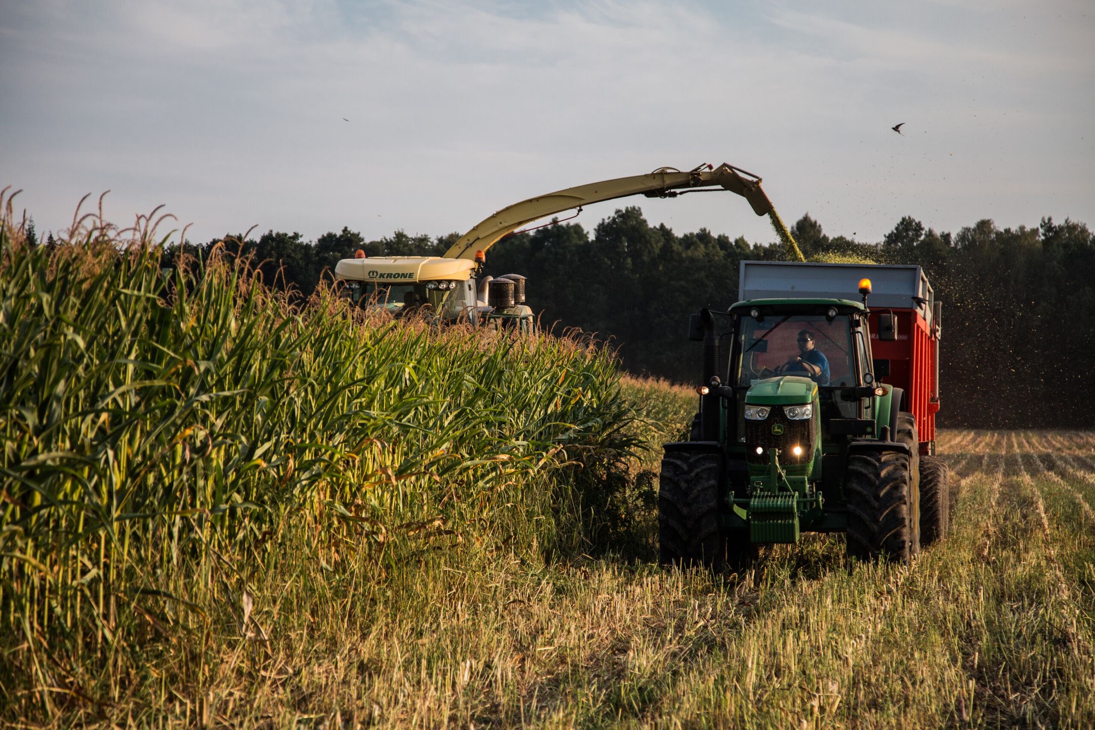 rolnicy w maszynach, ciągnik John Deere, sieczkarnia krone
