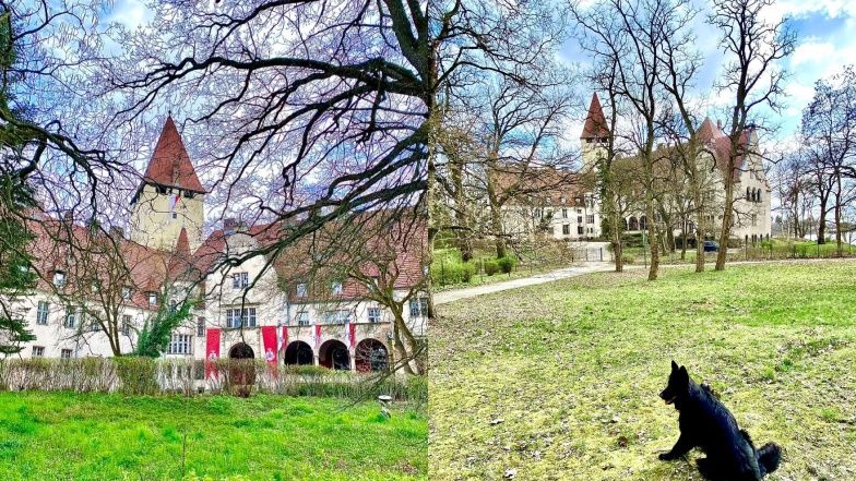 Tak mieszka Jan Lubomirski-Lanckoroński