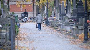 Pogoda na Wszystkich Świętych w Lublinie i regionie. Deszcz, chłód i mgły w prognozie IMGW