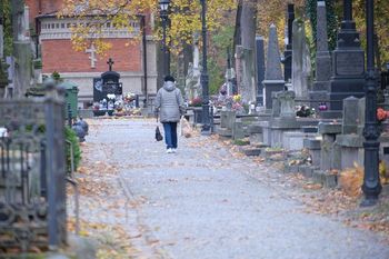 Pogoda na Wszystkich Świętych w Lublinie i regionie. Deszcz, chłód i mgły w prognozie IMGW