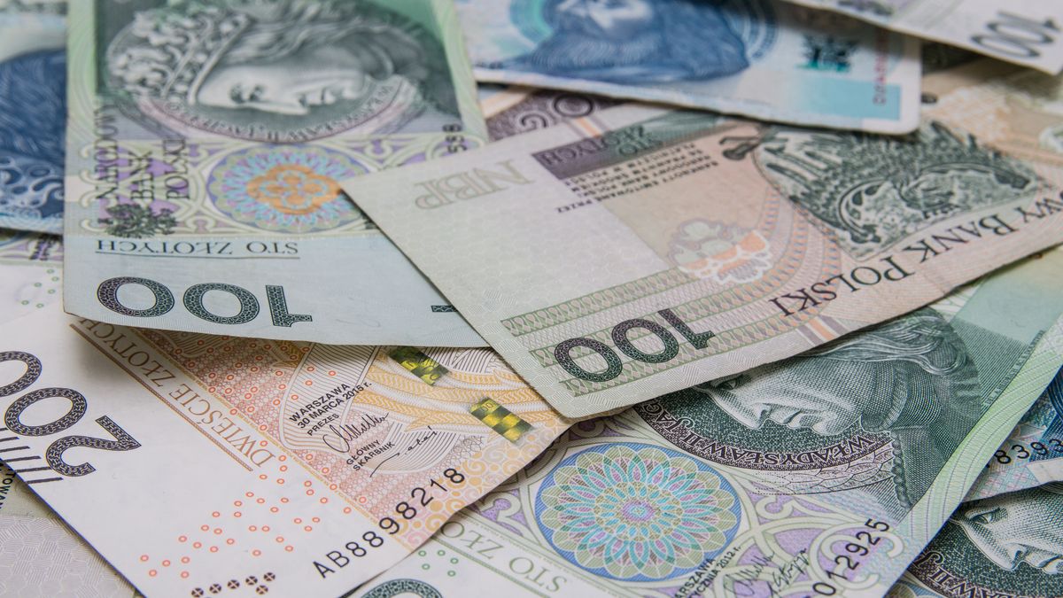 banknoty, polska, wachlarz, kasa, gotówka, waluta, bogactwo, plus, finanse, inflacja, polski, podatek, budżet, skarb, dotacja, zapomoga, sejf, bank, rynek, poziom, handel, ekonomia, pln
