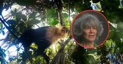 Twierdzi, że wychowały ją małpy. Nie wszyscy wierzą w jej historię
