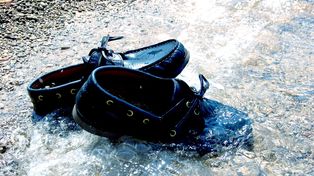 Buty te są dziś podstawą letniej garderoby nie tylko żeglarzy. Do ich powstania przyczynił się pies