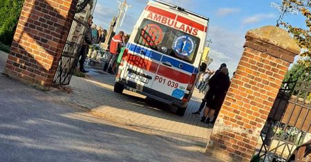 Atak owadów na cmentarzu. Ofiara uczulona na jad
