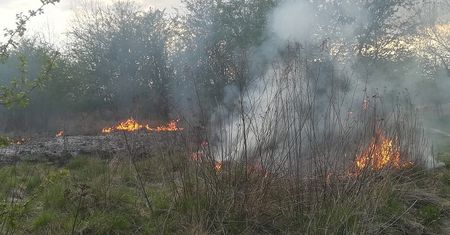 Lublin: Pożar suchych traw na Górkach Czechowskich