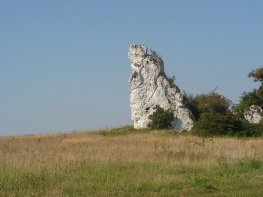 Obraz
