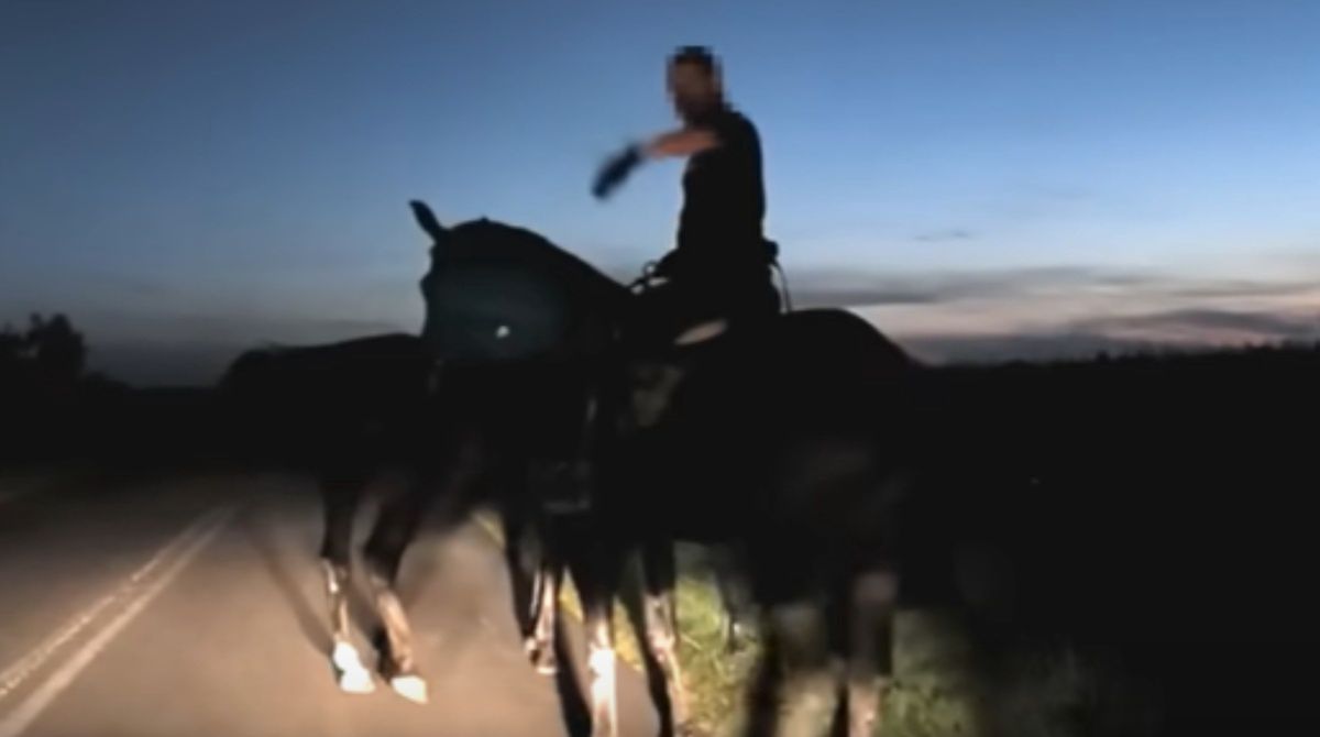 Opiekunka koni nic sobie nie robiła z braku odblasków