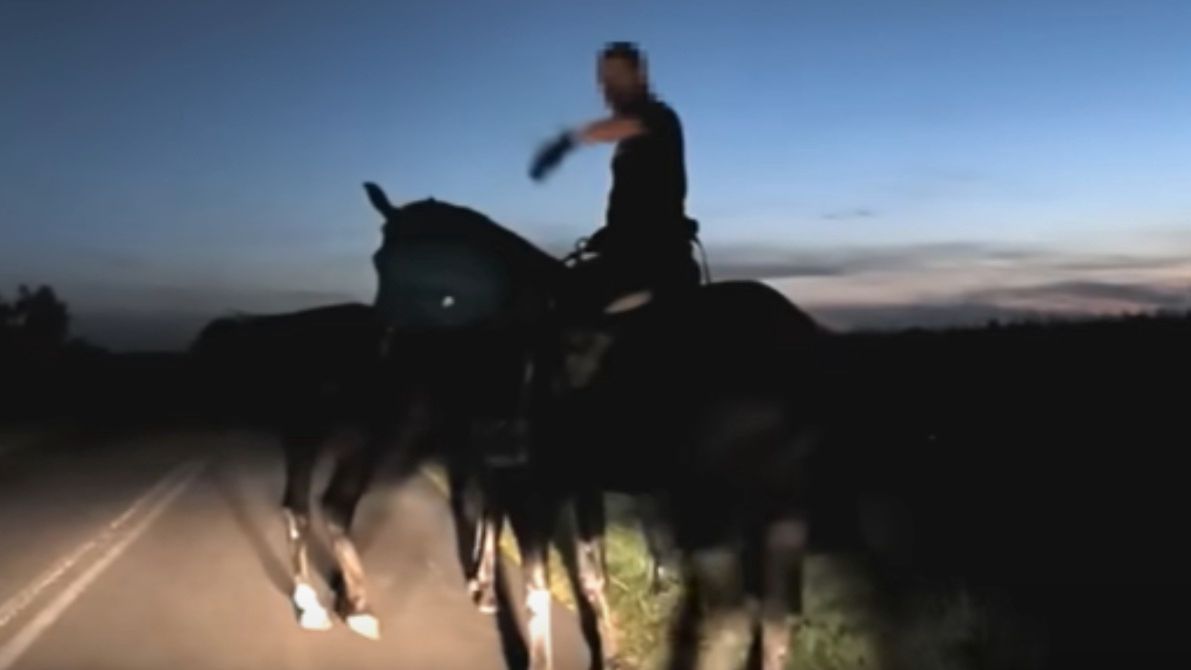 Opiekunka koni nic sobie nie robiła z braku odblasków