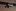 350251224912062401