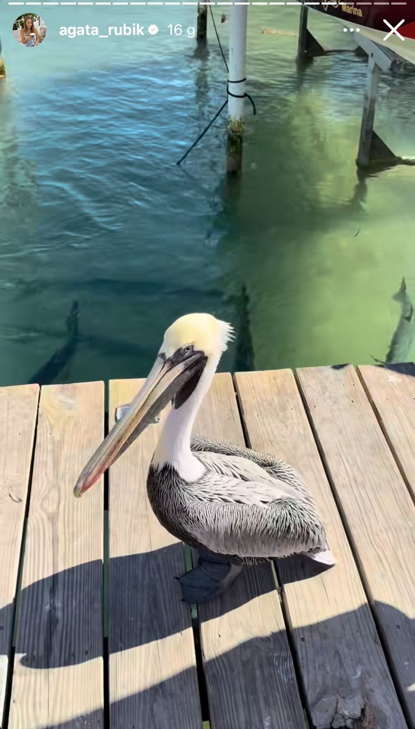 Agata Rubik gości rodziców