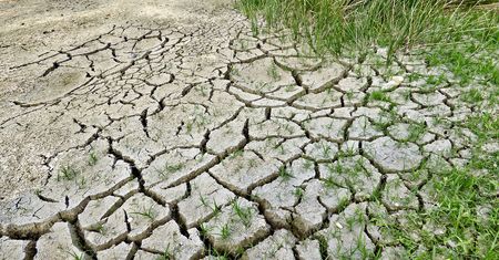 Grozi nam susza. Ostrzeżenia hydrologiczne nie pozostawiają złudzeń