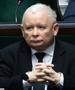 "Nie, nie wolno mu więcej". Polityk KO apeluje ws. Kaczyńskiego