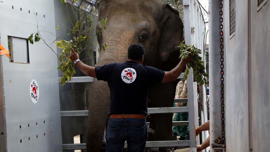 Kaavan pojechał z Pakistanu do kambodży
