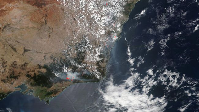Zdjęcia satelitarne pokazują skalę pożarów w Australii. Są naprawdę ogromne 19