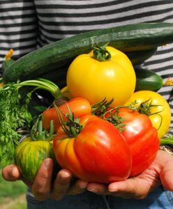 Warszawa. Trwają prace nad polityką żywnościową miasta