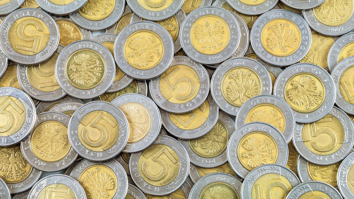 Sprawdź, czy jej nie masz. Pięciozłotówka warta nawet 100 tys. zł! 