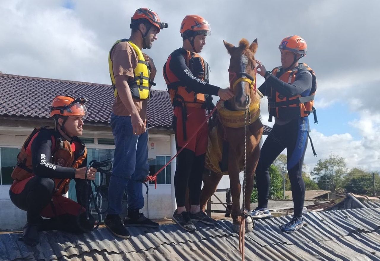 A horse got stuck on the roof of a flooded house in Brazil. There is a recording.