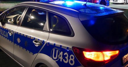 Wjechał w prywatną posesję pod Ostrowem Wielkopolskim i uciekł. W aucie zostawił broń i kopie banknotów