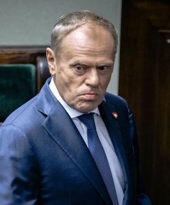KPO. PiS grzmi o "największej aferze". Będzie zawiadomienie