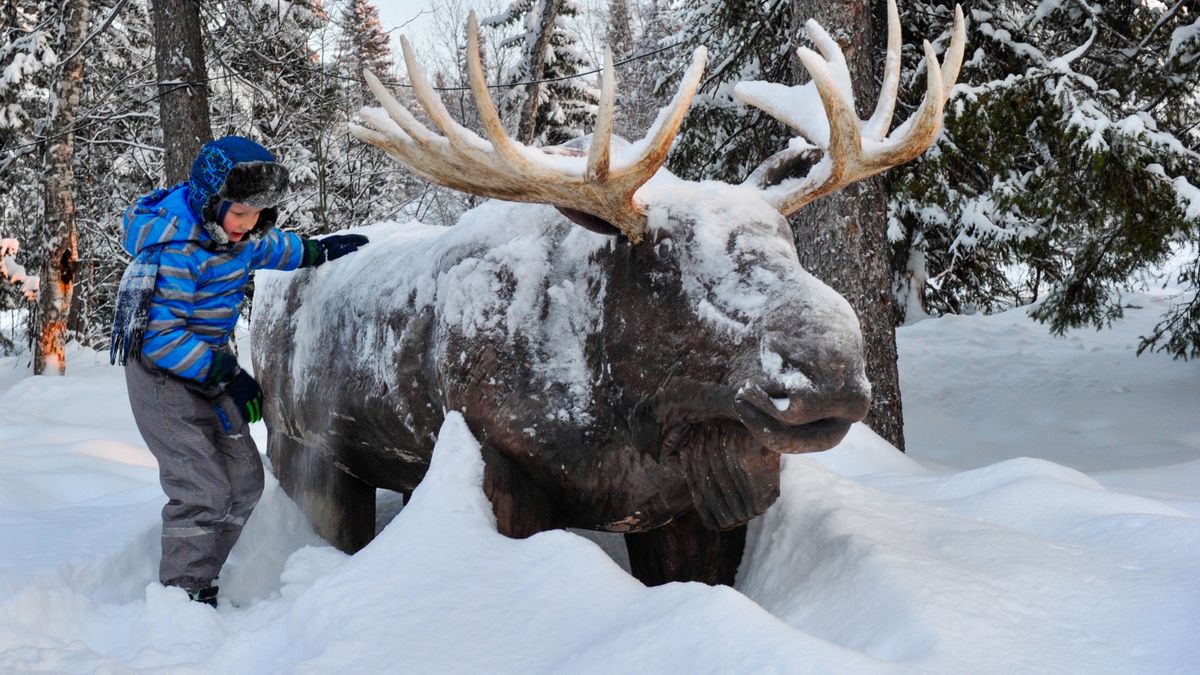 Chłopiec i posąg łosia