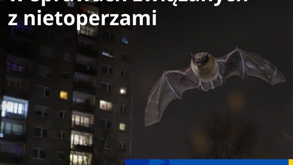 FB Polskie Towarzystwo Ochrony Przyrody „Salamandra”