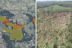 Tysiące powalonych drzew. Wprowadzono zakaz wstępu do tego lasu