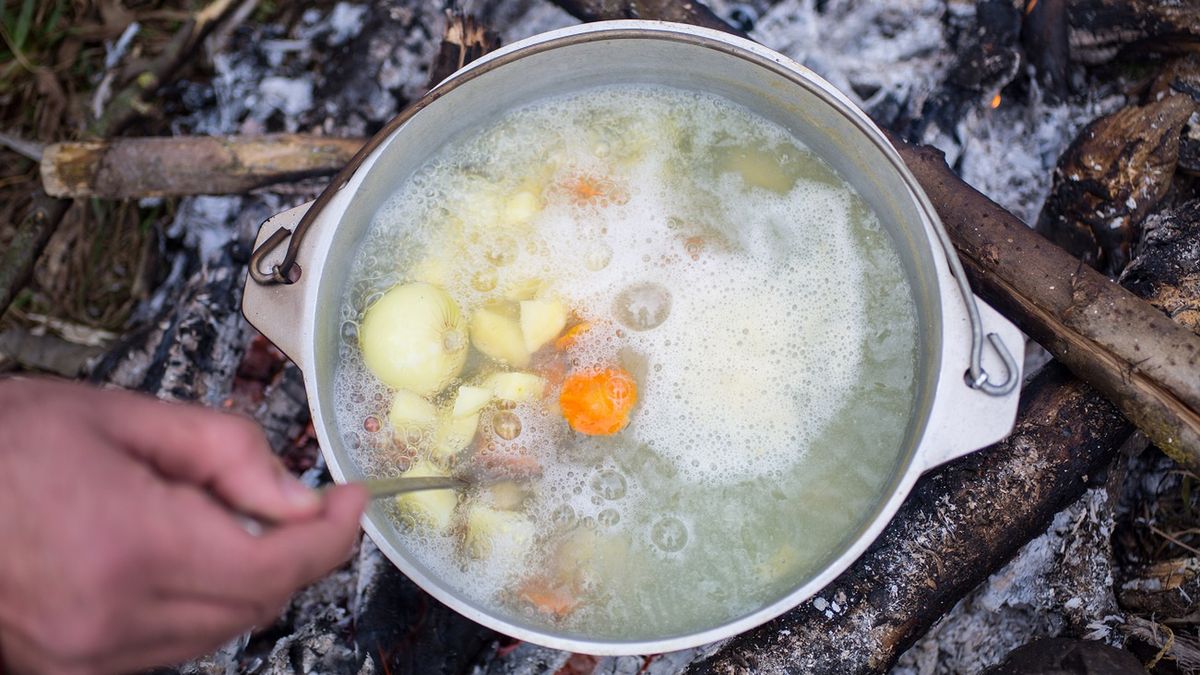 Leśny survival na serio. Te rośliny mogą cię nakarmić