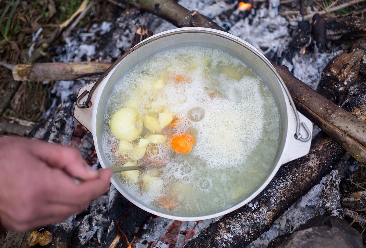 Leśny survival na serio. Te rośliny mogą cię nakarmić