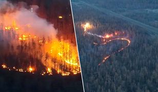 Lasy są teraz pułapką. Ukraińcy zrzucają termit. Wszystko płonie