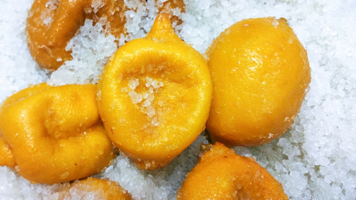 Fermented rock salt lemons
Yellow, fermented rock salt lemons, at a restaurant kitchen
Saaster
Fermenting, No People, Seasoning, Gourmet, Pickle, Condiment, Cooking, Backgrounds, Wood - Material, Material, Close-up, Lemon, Fruit, Spice, Peel, Food, Jar, salting