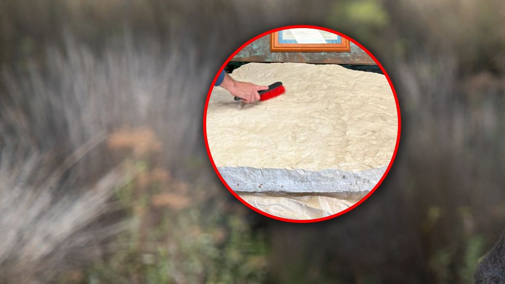 Ślady dinozaurów w Australii. 